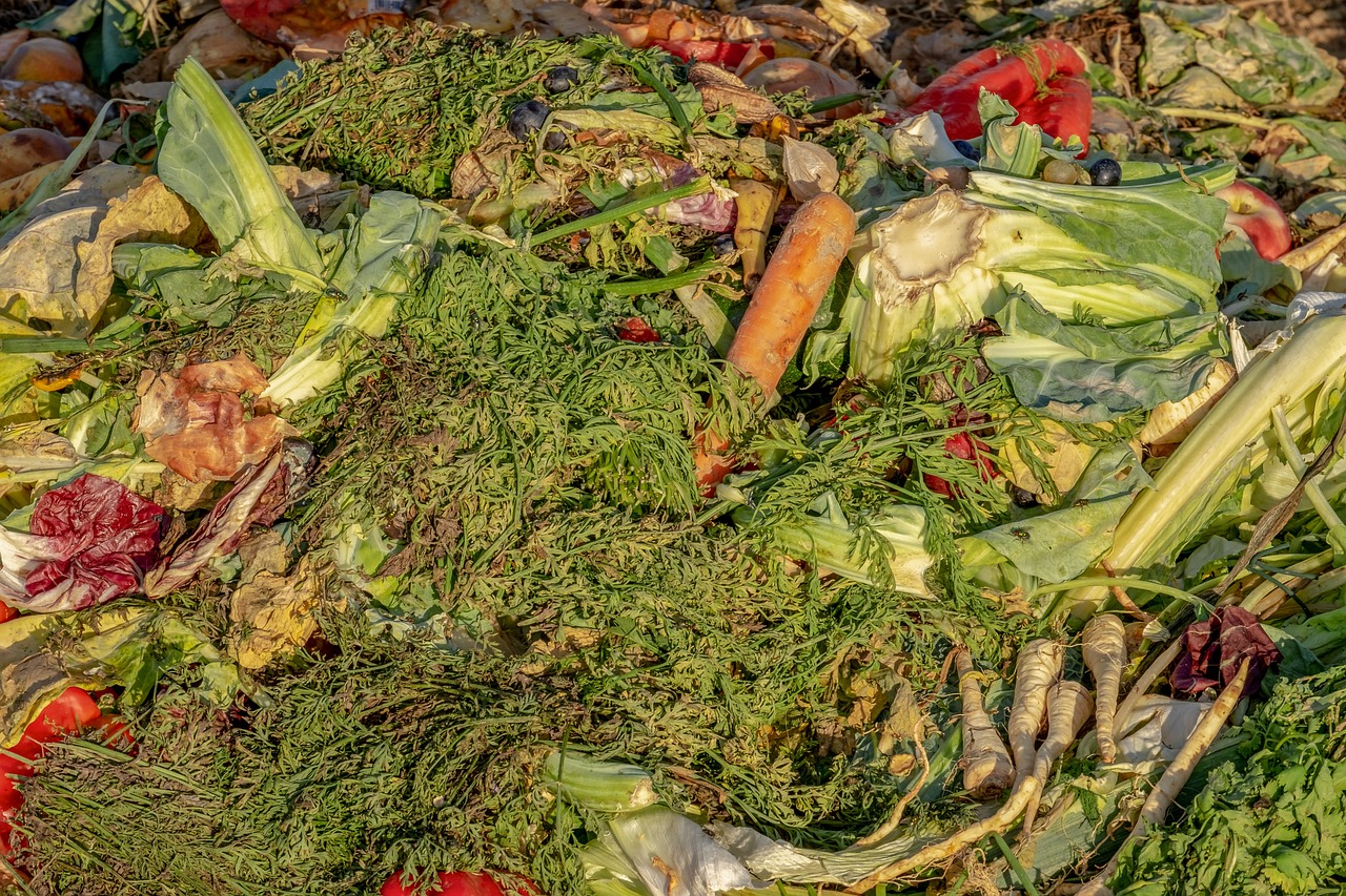 剩菜背后的影响与可能性探究，食物剩余现象揭示的隐患与启示